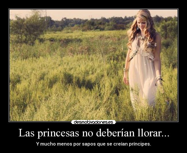 Las princesas no deberían llorar... -