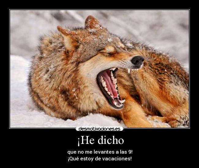 ¡He dicho - que no me levantes a las 9!
¡Qué estoy de vacaciones!