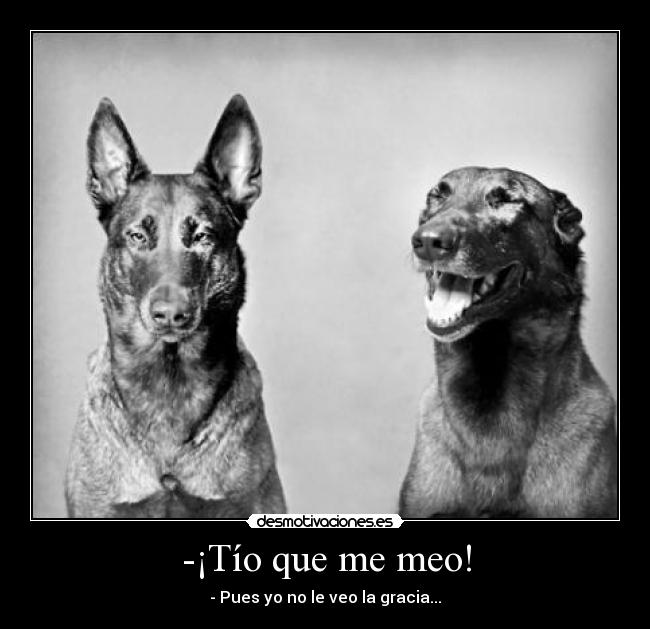 -¡Tío que me meo! - - Pues yo no le veo la gracia...