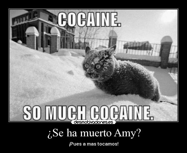 ¿Se ha muerto Amy? - 