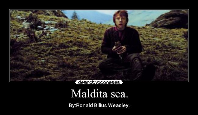 Maldita sea. - By:Ronald Bilius Weasley.