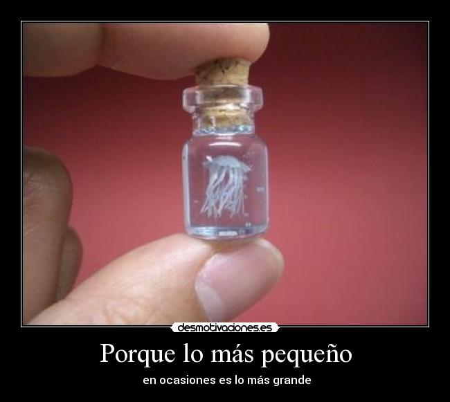 Porque lo más pequeño - en ocasiones es lo más grande