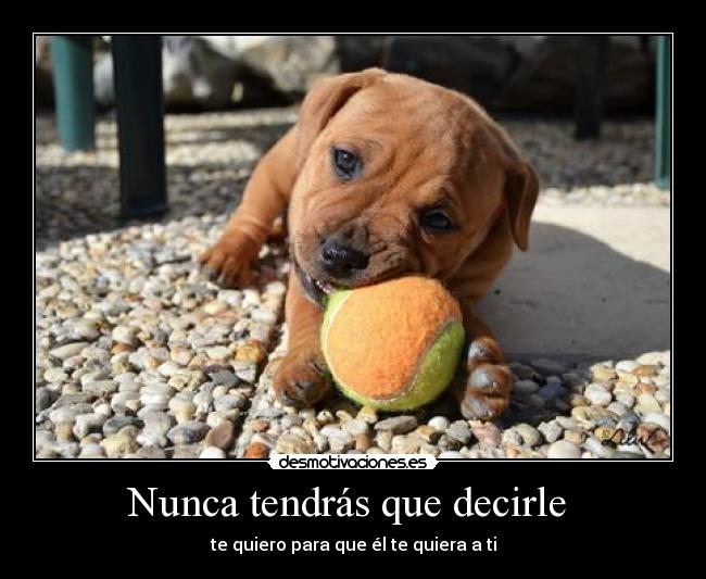 Nunca tendrás que decirle -