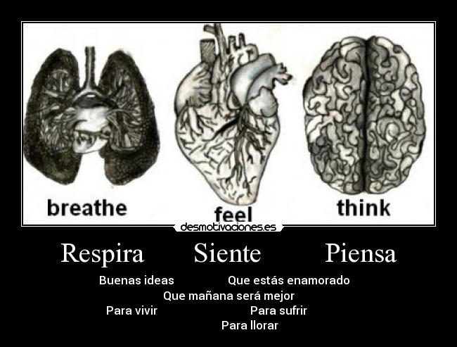 Respira       Siente         Piensa -         Buenas ideas                   Que estás enamorado            Que mañana será mejor
Para vivir                                 Para sufrir                                Para llorar