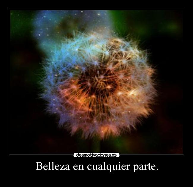 Belleza en cualquier parte. - 