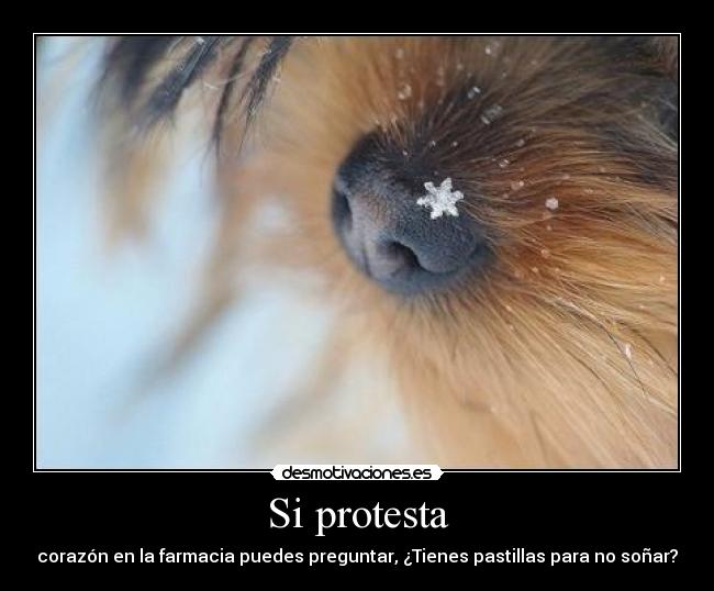 Si protesta -