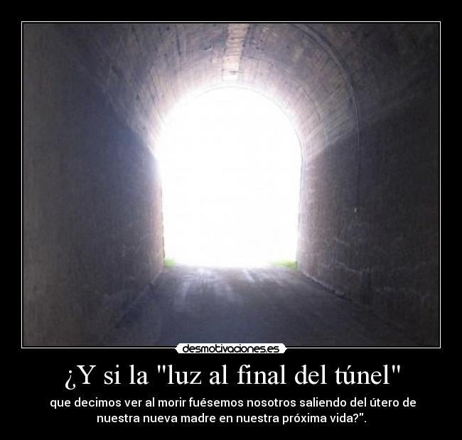¿Y si la luz al final del túnel - que decimos ver al morir fuésemos nosotros saliendo del útero de
nuestra nueva madre en nuestra próxima vida?.