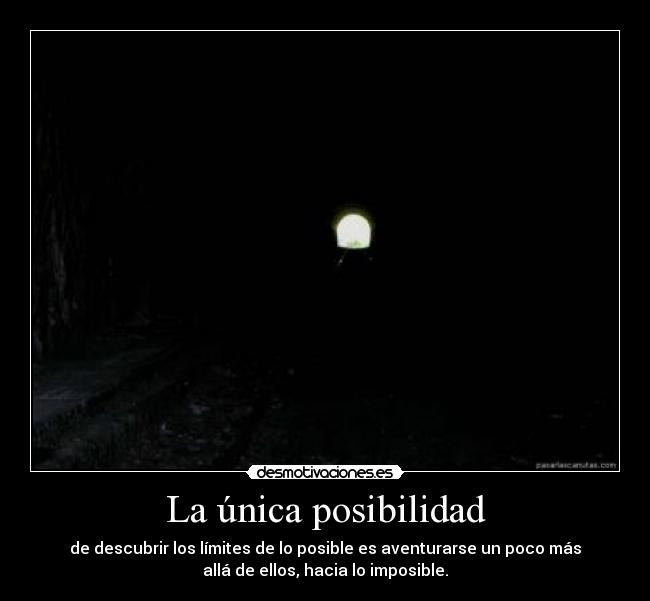 La única posibilidad - 