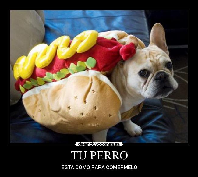 TU PERRO - ESTA COMO PARA COMERMELO