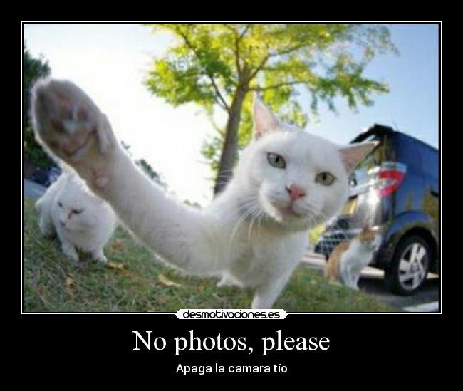 No photos, please - 