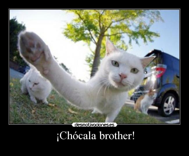 ¡Chócala brother! - 