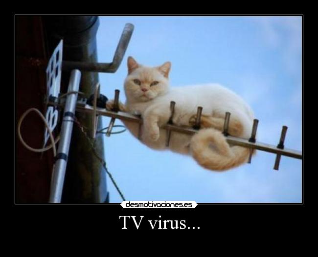 TV virus... -