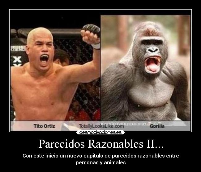 Parecidos Razonables II... - Con este inicio un nuevo capitulo de parecidos razonables entre personas y animales