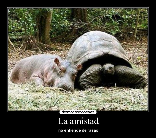 La amistad -