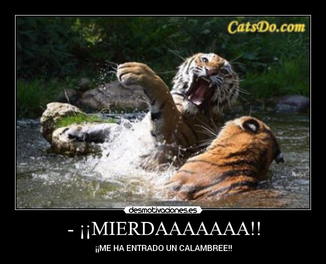 - ¡¡MIERDAAAAAAA!! - ¡¡ME HA ENTRADO UN CALAMBREE!!