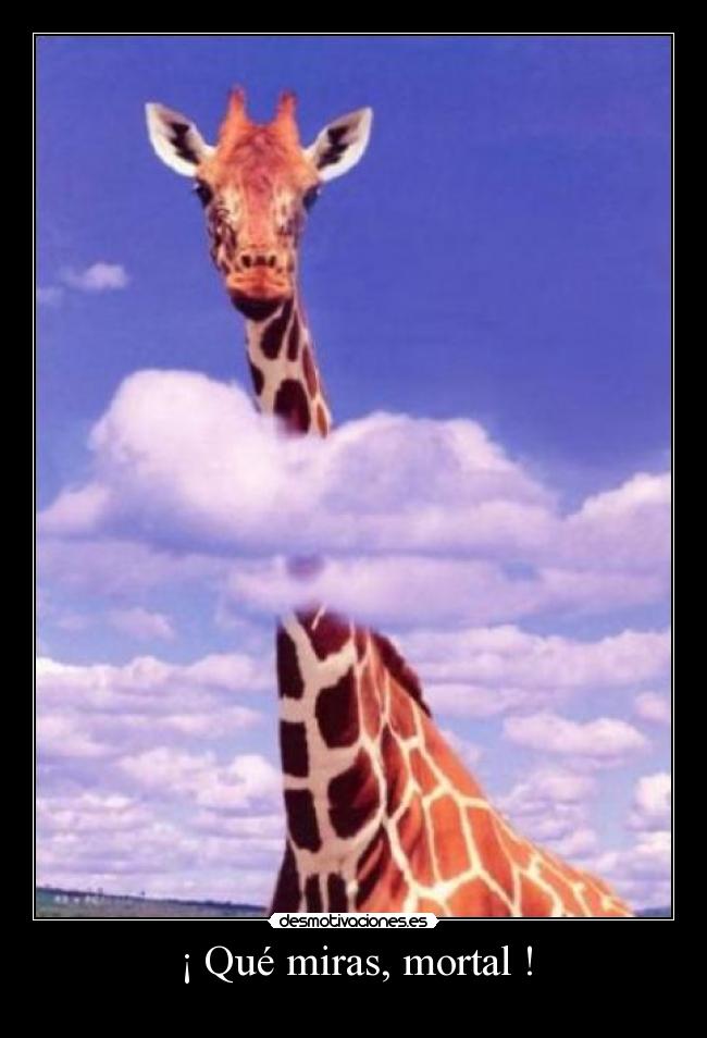 ¡ Qué miras, mortal ! - 