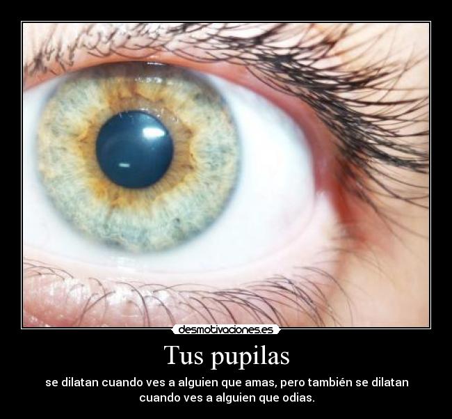 Tus pupilas - 