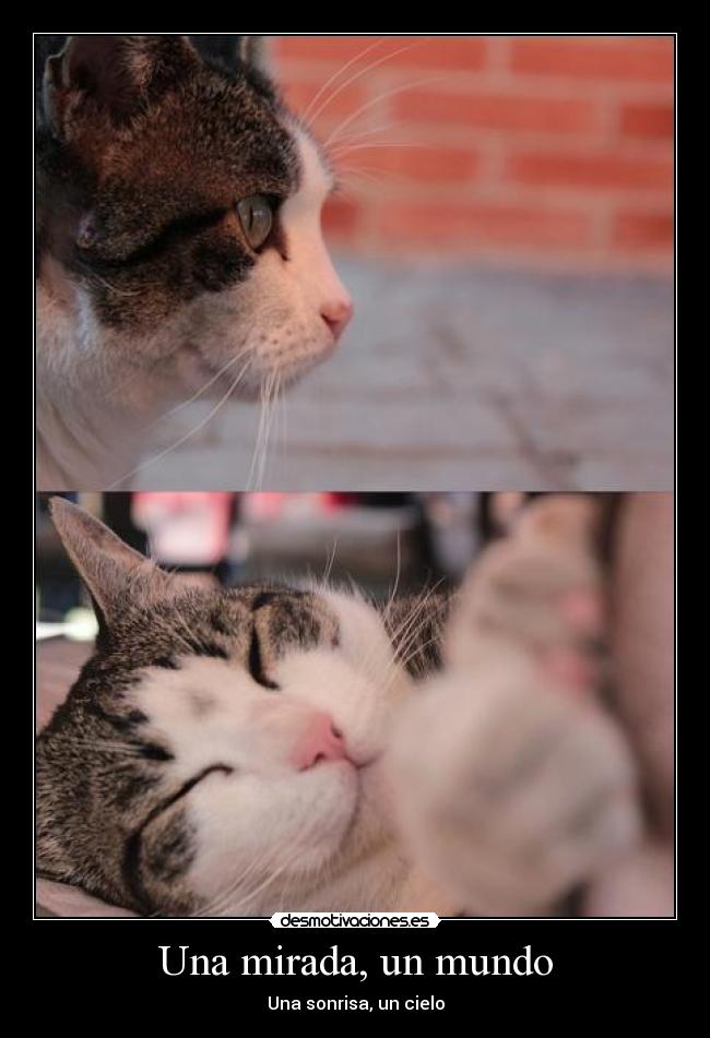 Una mirada, un mundo - Una sonrisa, un cielo