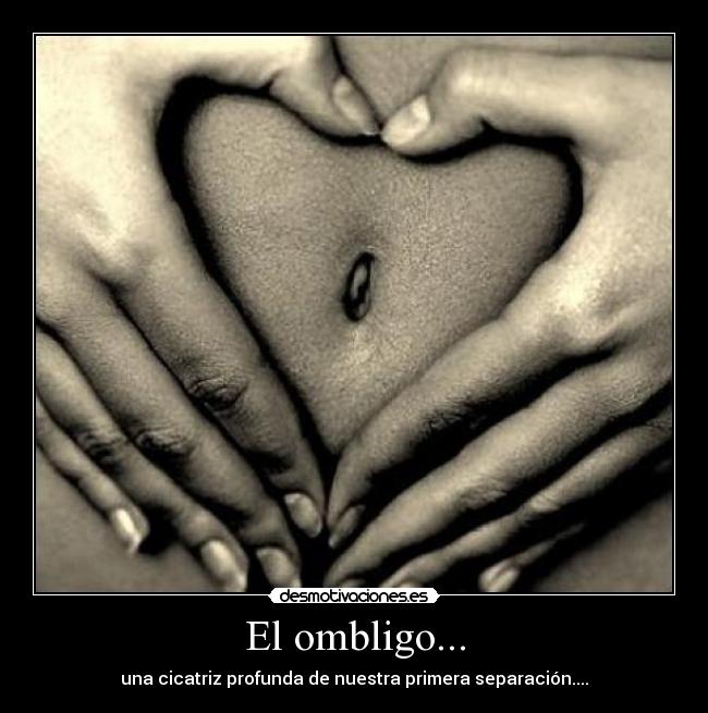 El ombligo... - 