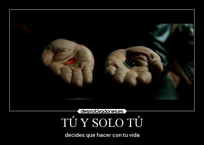 carteles solo decides que hacer con vida desmotivaciones