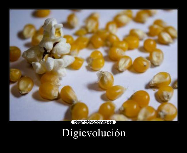 Digievolución - 