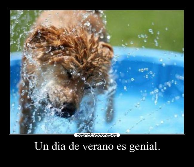 Un dia de verano es genial. -