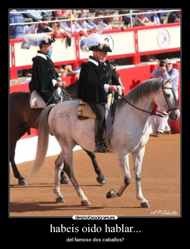 habeis oido hablar... -