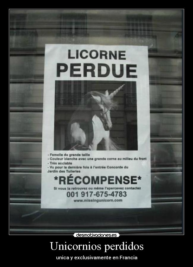 Unicornios perdidos - unica y exclusivamente en Francia
