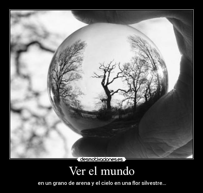 Ver el mundo - 