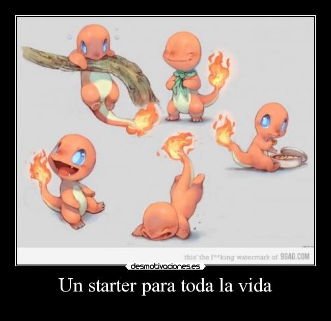 Un starter para toda la vida -