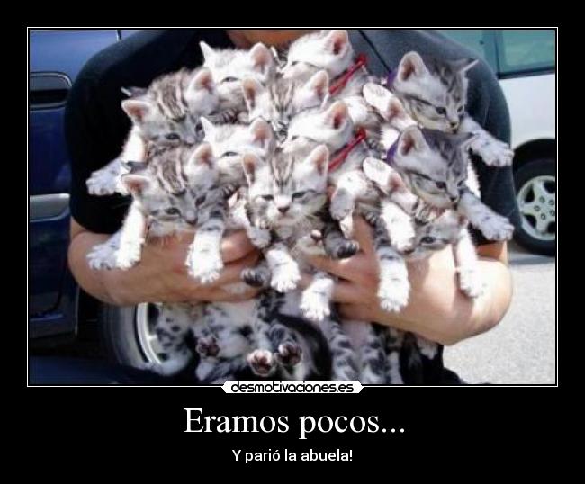 carteles sanny desmotivaciones