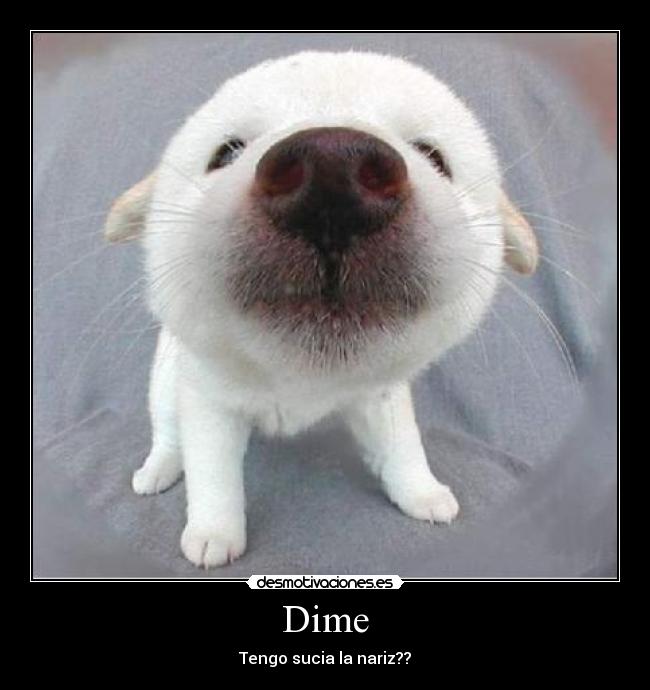 Dime - Tengo sucia la nariz??