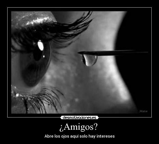 ¿Amigos? - Abre los ojos aquí solo hay intereses