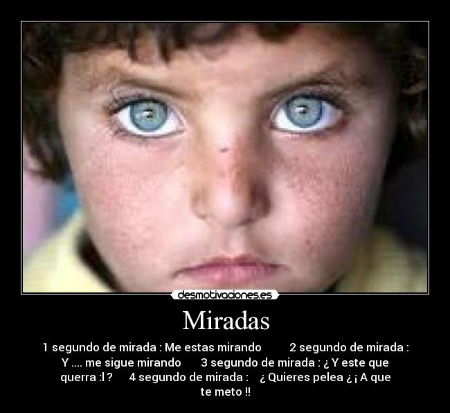 Miradas - 1 segundo de mirada : Me estas mirando          2 segundo de mirada :
Y .... me sigue mirando       3 segundo de mirada : ¿ Y este que
querra :l ?      4 segundo de mirada :    ¿ Quieres pelea ¿ ¡ A que
te meto !!