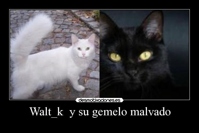 Walt_k y su gemelo malvado -