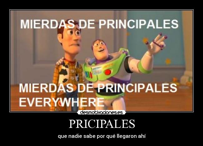 PRICIPALES - que nadie sabe por qué llegaron ahí