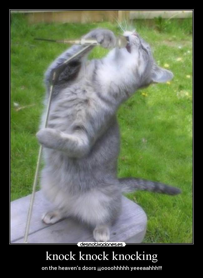 knock knock knocking -