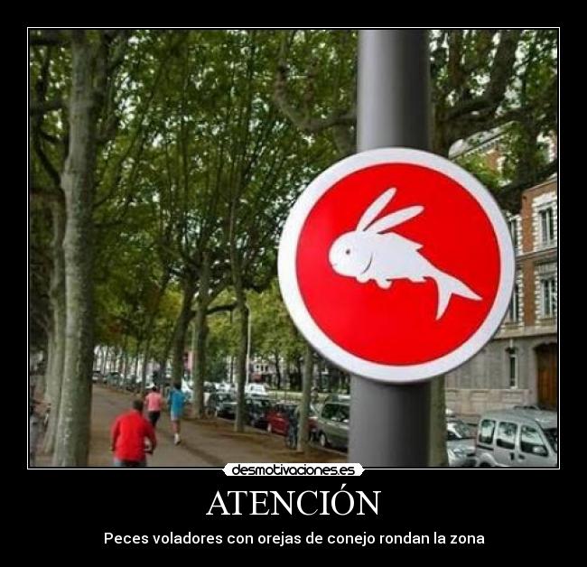 ATENCIÓN - Peces voladores con orejas de conejo rondan la zona