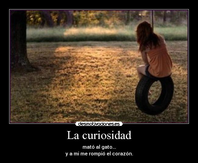 La curiosidad - mató al gato...
y a mi me rompió el corazón.