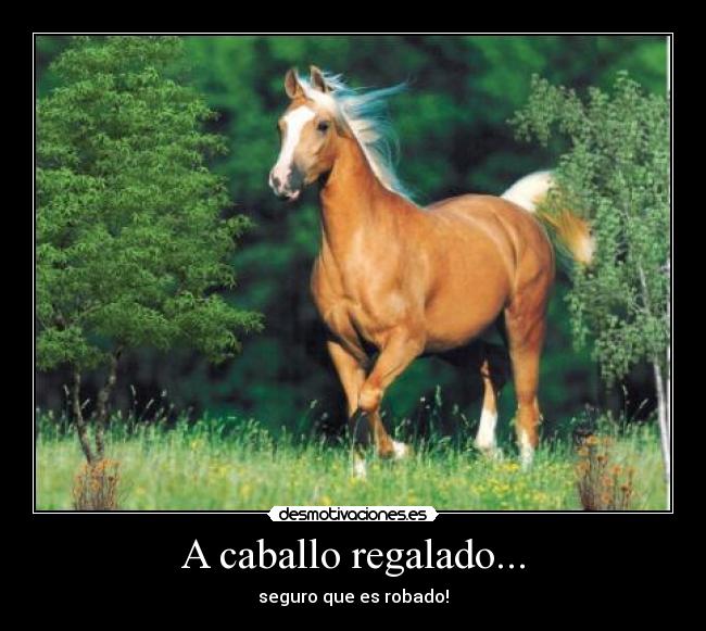 A caballo regalado... - 