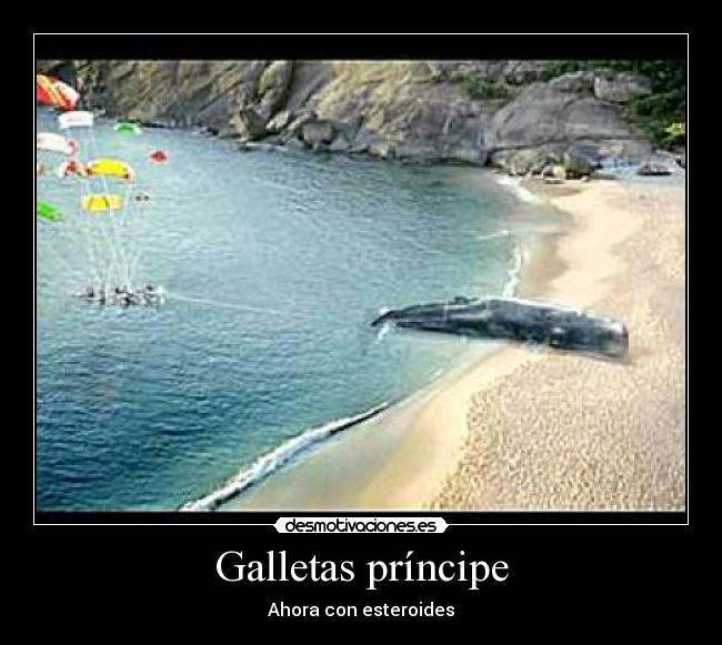 Galletas príncipe - 