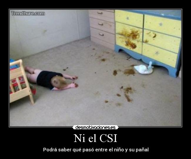 Ni el CSI - 