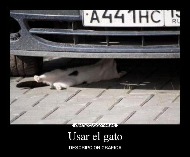 Usar el gato - DESCRIPCION GRAFICA