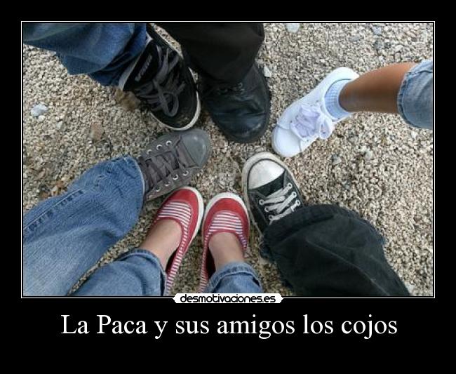 carteles amigos paca sus amigos los cojos desmotivaciones