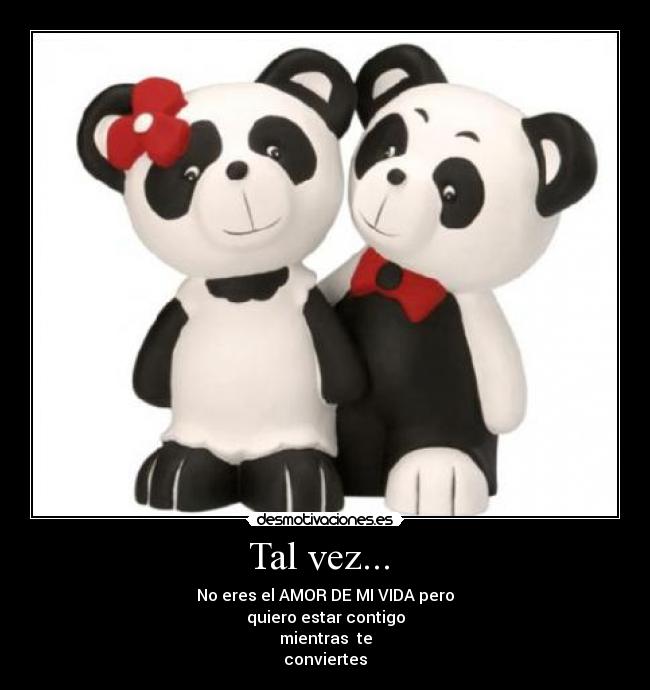 Tal vez... - No eres el AMOR DE MI VIDA pero
quiero estar contigo
mientras te
conviertes