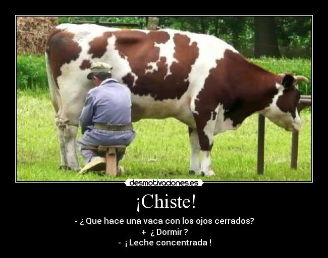 ¡Chiste! - - ¿ Que hace una vaca con los ojos cerrados?
+ ¿ Dormir ?
- ¡ Leche concentrada !