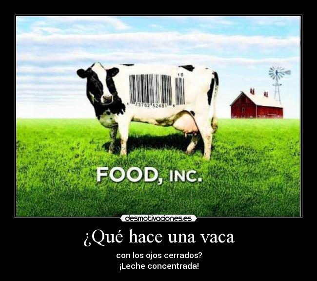 ¿Qué hace una vaca - 