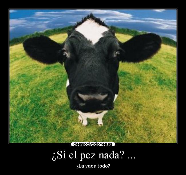 ¿Si el pez nada? ... - ¿La vaca todo?