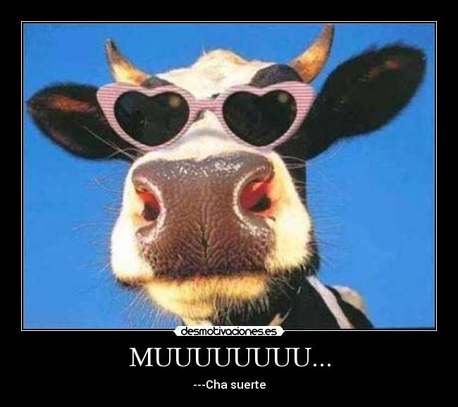 MUUUUUUUU... - ---Cha suerte