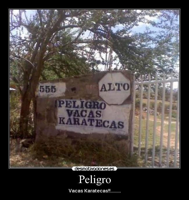 carteles vacas desmotivaciones